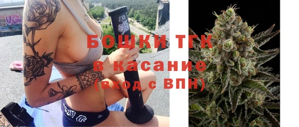 PSILOCYBIN Верея
