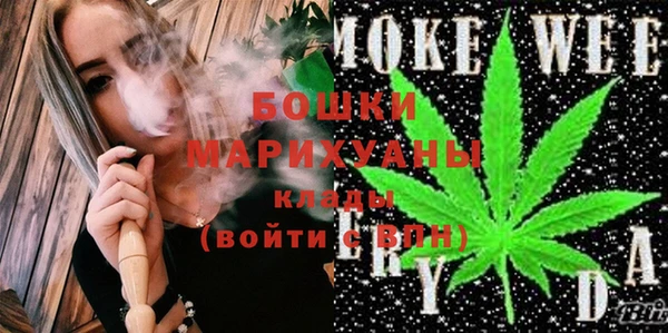 PSILOCYBIN Верея