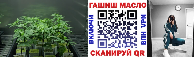 Купить  Суровикино  Дистиллят ТГК Wax 