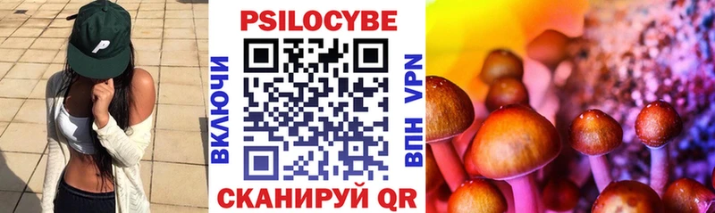Купить закладки  Суровикино  Псилоцибиновые грибы мицелий 